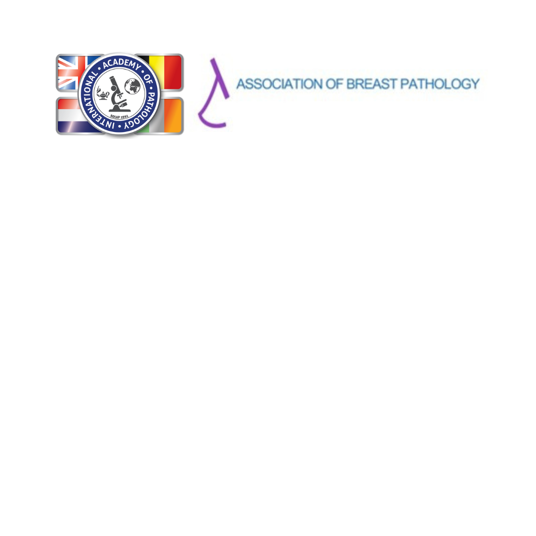 Apply for a BDIAP Bursary to attend the Joint BDIAP-ABP Symposium on Breast Pathology image